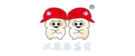 双胞胎集团